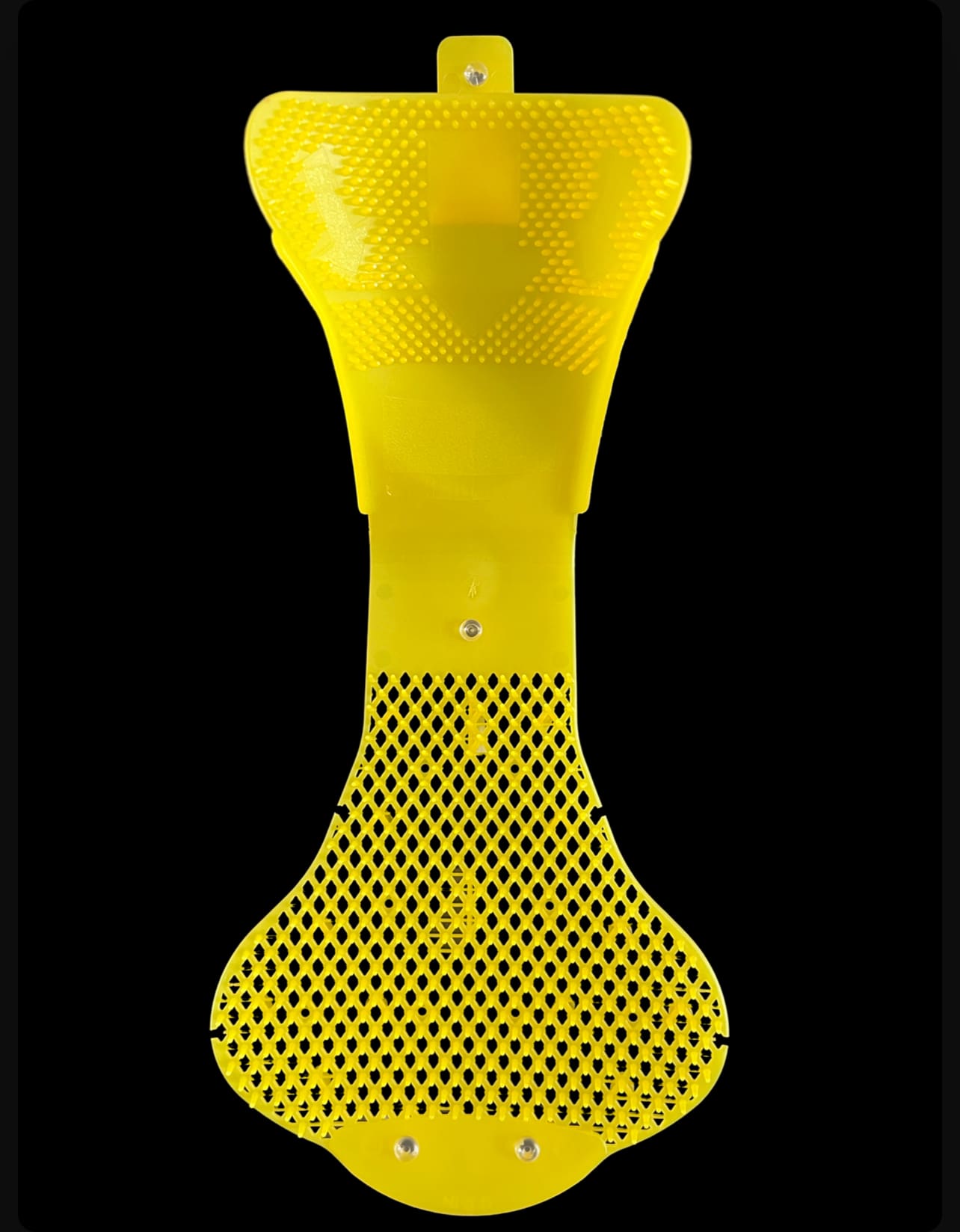 Lemon Citrus